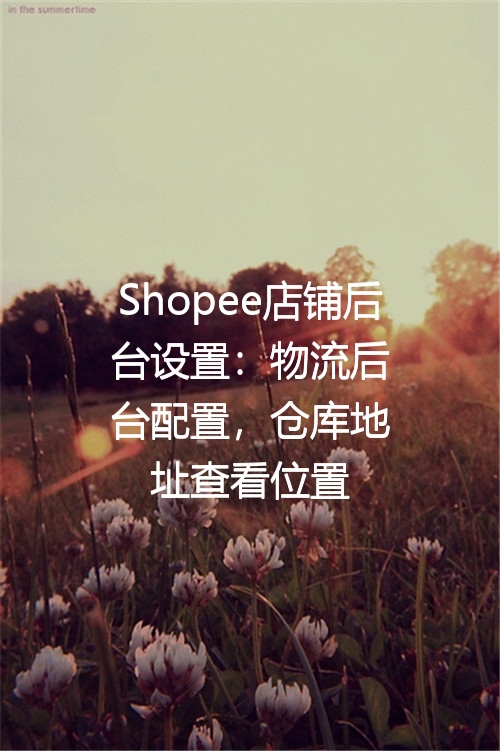 Shopee店铺后台设置：物流后台配置，仓库地址查看位置