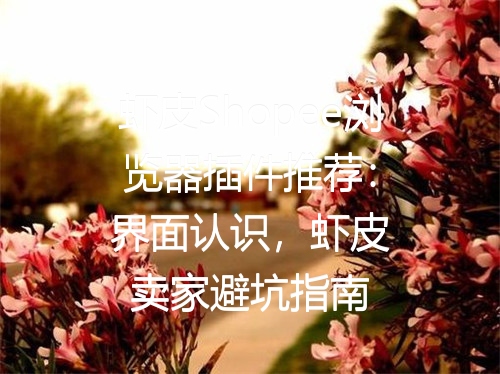 虾皮Shopee浏览器插件推荐：界面认识，虾皮卖家避坑指南