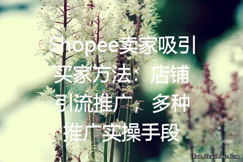 Shopee卖家吸引买家方法：店铺引流推广，多种推广实操手段