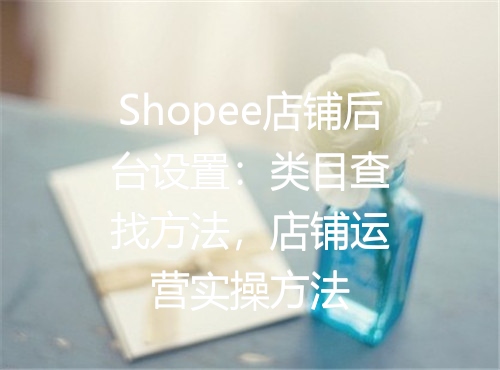 Shopee店铺后台设置：类目查找方法，店铺运营实操方法