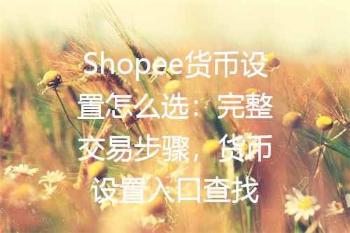 Shopee货币设置怎么选：完整交易步骤，货币设置入口查找