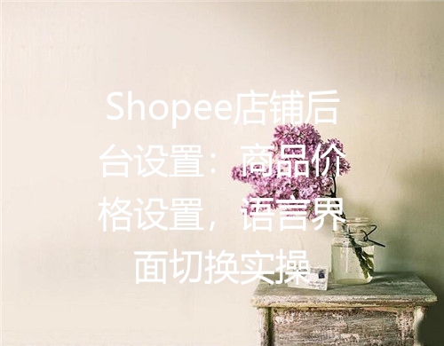 Shopee店铺后台设置：商品价格设置，语言界面切换实操