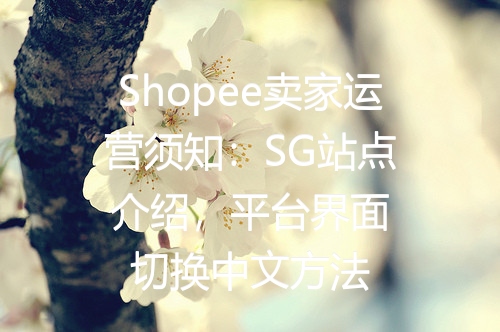 Shopee卖家运营须知：SG站点介绍，平台界面切换中文方法