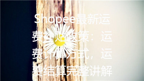 Shopee最新运费补贴政策：运费计算方式，运费结算完整讲解