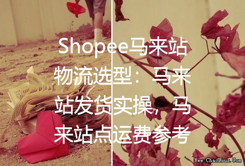 Shopee马来站物流选型：马来站发货实操，马来站点运费参考