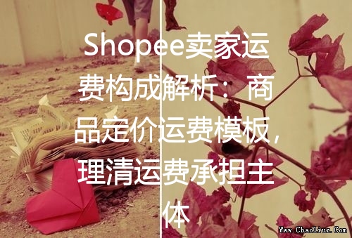 Shopee卖家运费构成解析：商品定价运费模板，理清运费承担主体