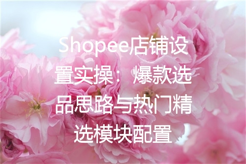 Shopee店铺设置实操：爆款选品思路与热门精选模块配置