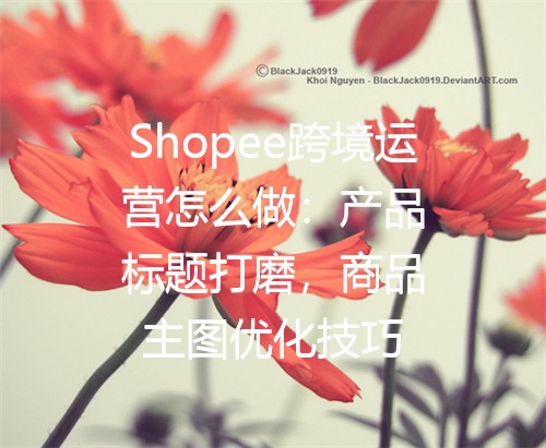 Shopee跨境运营怎么做：产品标题打磨，商品主图优化技巧