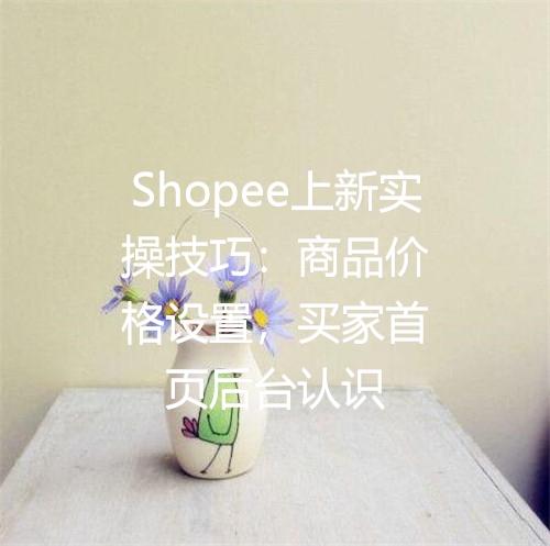 Shopee上新实操技巧：商品价格设置，买家首页后台认识
