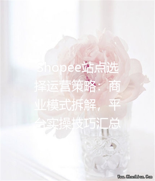 Shopee站点选择运营策略：商业模式拆解，平台实操技巧汇总