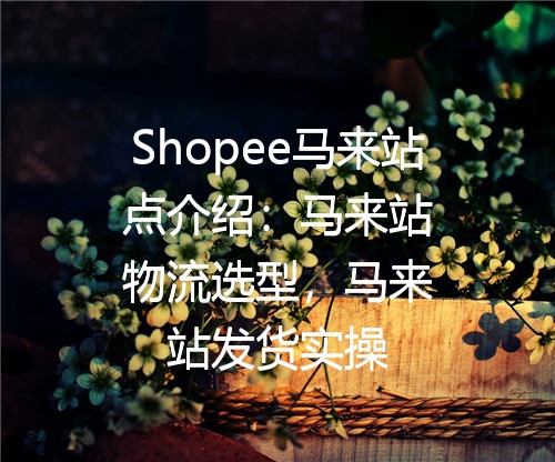 Shopee马来站点介绍：马来站物流选型，马来站发货实操