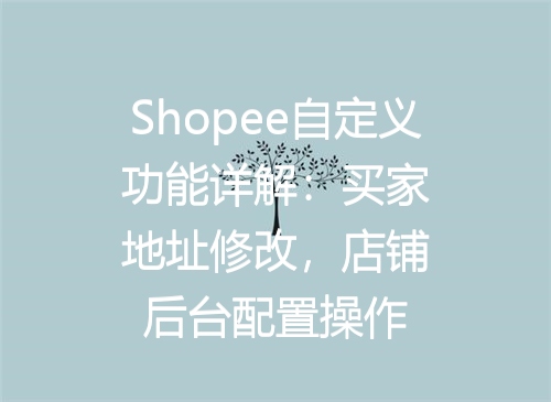 Shopee自定义功能详解：买家地址修改，店铺后台配置操作