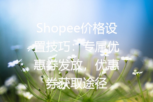 Shopee价格设置技巧：专属优惠券发放，优惠券获取途径