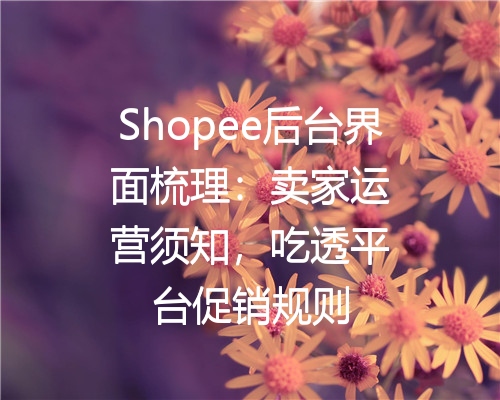 Shopee后台界面梳理：卖家运营须知，吃透平台促销规则