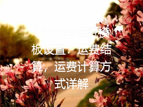 Shopee运费模板设置：运费结算，运费计算方式详解