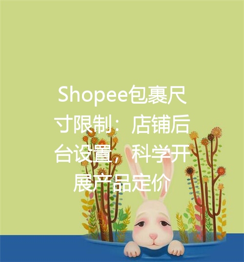 Shopee包裹尺寸限制：店铺后台设置，科学开展产品定价