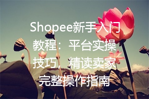 Shopee新手入门教程：平台实操技巧，精读卖家完整操作指南