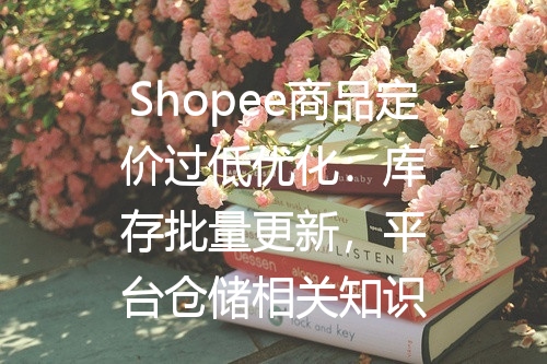 Shopee商品定价过低优化：库存批量更新，平台仓储相关知识