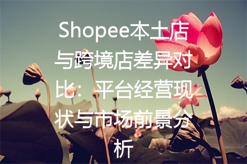 Shopee本土店与跨境店差异对比：平台经营现状与市场前景分析