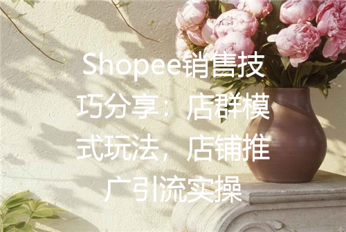 Shopee销售技巧分享：店群模式玩法，店铺推广引流实操