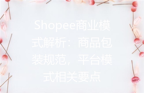 Shopee商业模式解析：商品包装规范，平台模式相关要点