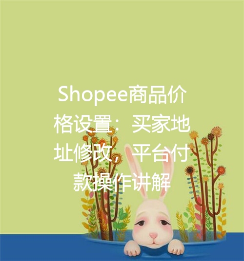Shopee商品价格设置：买家地址修改，平台付款操作讲解