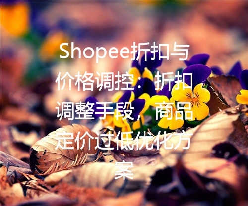 Shopee折扣与价格调控：折扣调整手段，商品定价过低优化方案