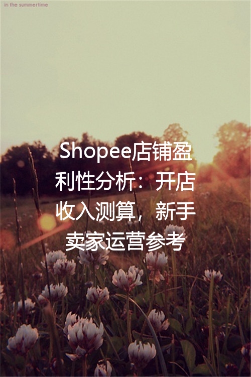 Shopee店铺盈利性分析：开店收入测算，新手卖家运营参考