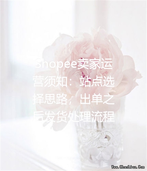 Shopee卖家运营须知：站点选择思路，出单之后发货处理流程