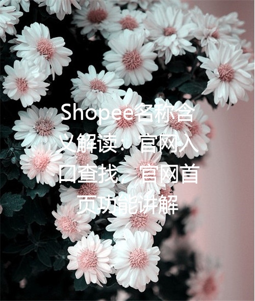 Shopee名称含义解读：官网入口查找，官网首页功能讲解