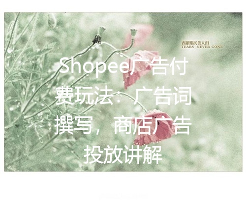 Shopee广告付费玩法：广告词撰写，商店广告投放讲解