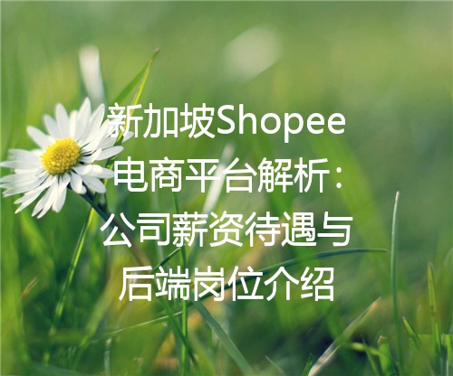 新加坡Shopee电商平台解析：公司薪资待遇与后端岗位介绍