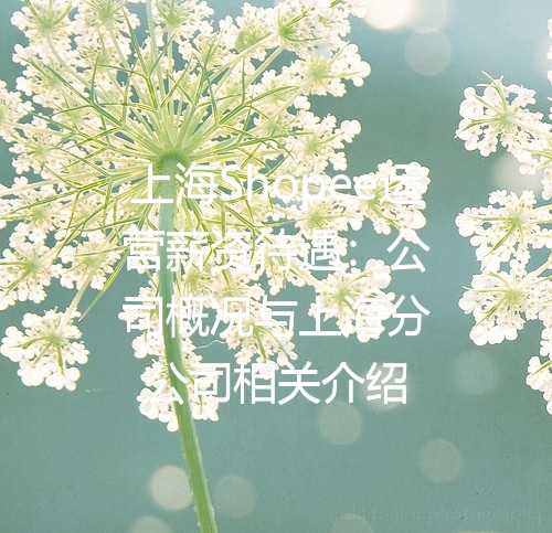 上海Shopee运营薪资待遇：公司概况与上海分公司相关介绍