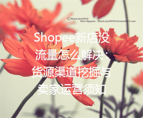 Shopee新店没流量怎么解决：货源渠道挖掘与卖家运营须知