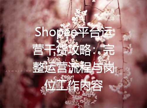 Shopee平台运营干货攻略：完整运营流程与岗位工作内容