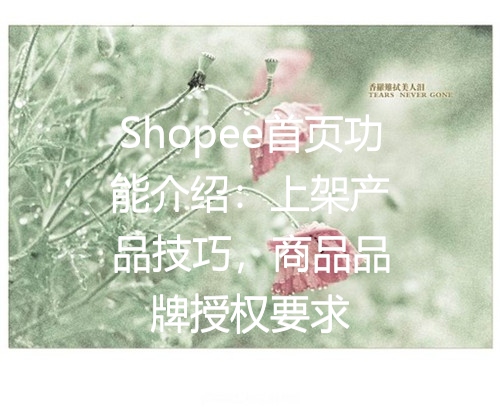 Shopee首页功能介绍：上架产品技巧，商品品牌授权要求