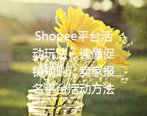 Shopee平台活动玩法：读懂促销规则，卖家报名平台活动方法