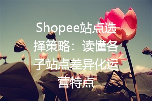 Shopee站点选择策略：读懂各子站点差异化运营特点
