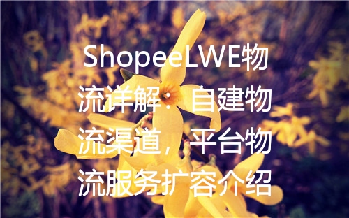 ShopeeLWE物流详解：自建物流渠道，平台物流服务扩容介绍