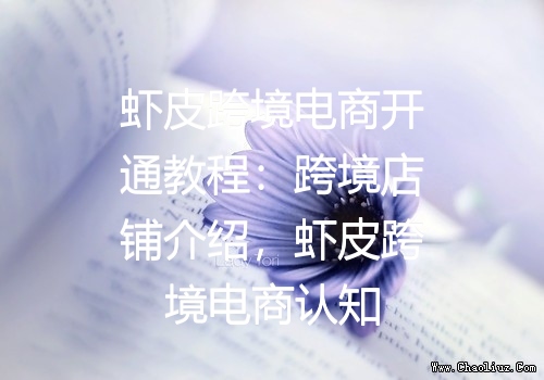 虾皮跨境电商开通教程：跨境店铺介绍，虾皮跨境电商认知