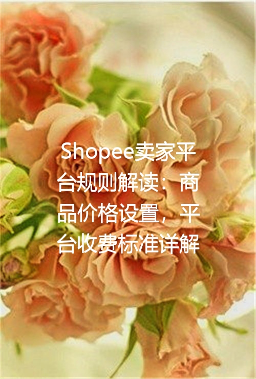 Shopee卖家平台规则解读：商品价格设置，平台收费标准详解