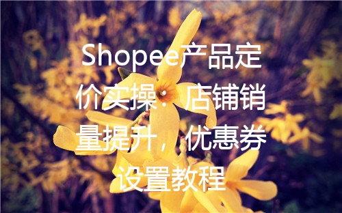 Shopee产品定价实操：店铺销量提升，优惠券设置教程
