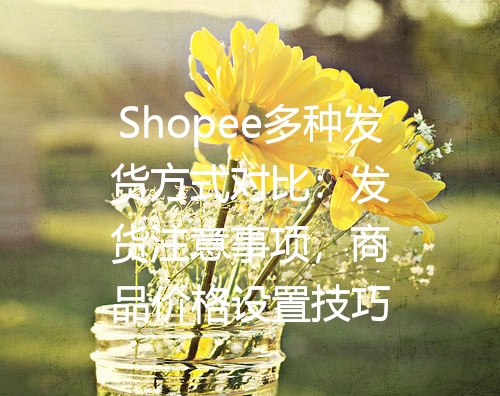 Shopee多种发货方式对比：发货注意事项，商品价格设置技巧