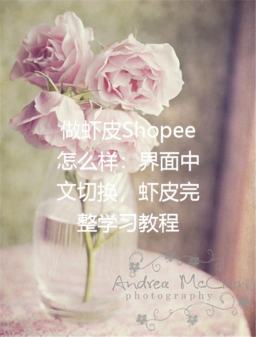 做虾皮Shopee怎么样：界面中文切换，虾皮完整学习教程