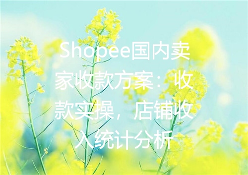 Shopee国内卖家收款方案：收款实操，店铺收入统计分析