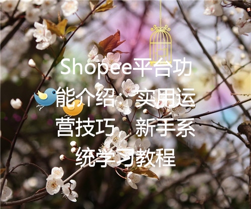 Shopee平台功能介绍：实用运营技巧，新手系统学习教程