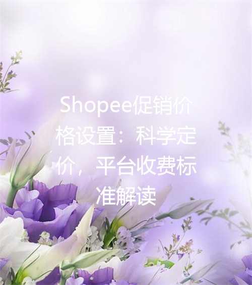 Shopee促销价格设置：科学定价，平台收费标准解读