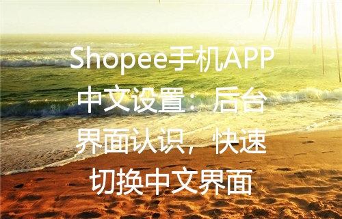Shopee手机APP中文设置：后台界面认识，快速切换中文界面