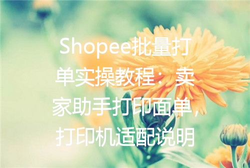 Shopee批量打单实操教程：卖家助手打印面单，打印机适配说明