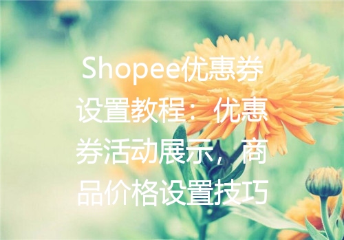 Shopee优惠券设置教程：优惠券活动展示，商品价格设置技巧